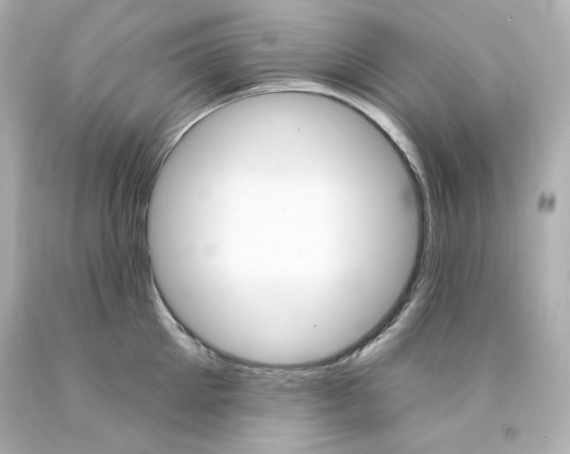 X0000094350905200711021310
