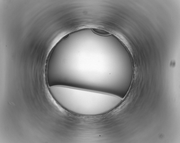 X0000094350906200711021310