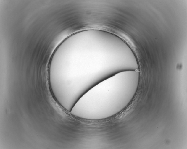 X0000094350907200711021310