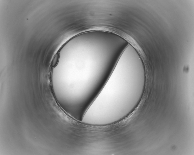 X0000094350908200711021310
