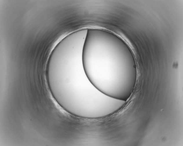 X0000094350909200711021310