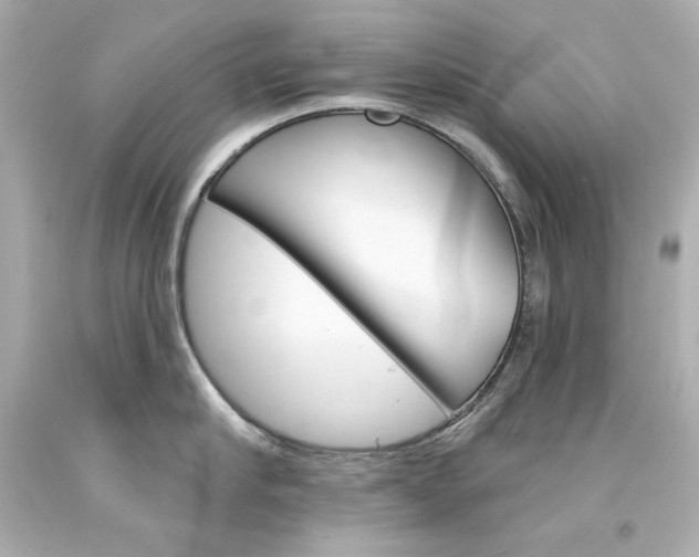 X0000094350910200711021310