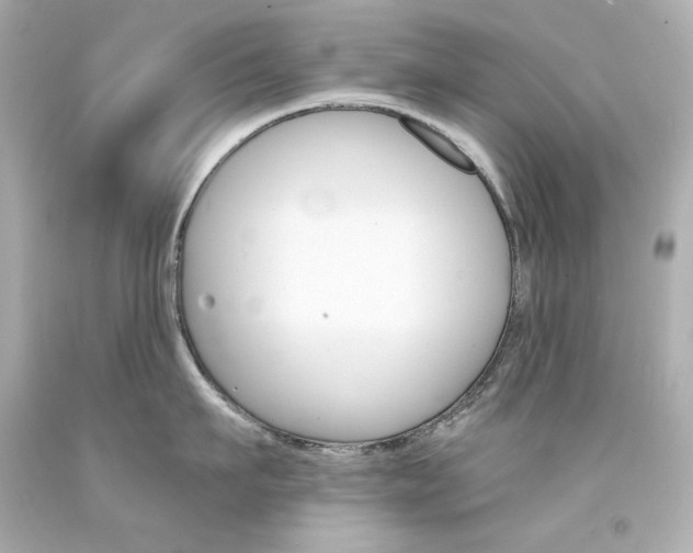 X0000094350911200711021310