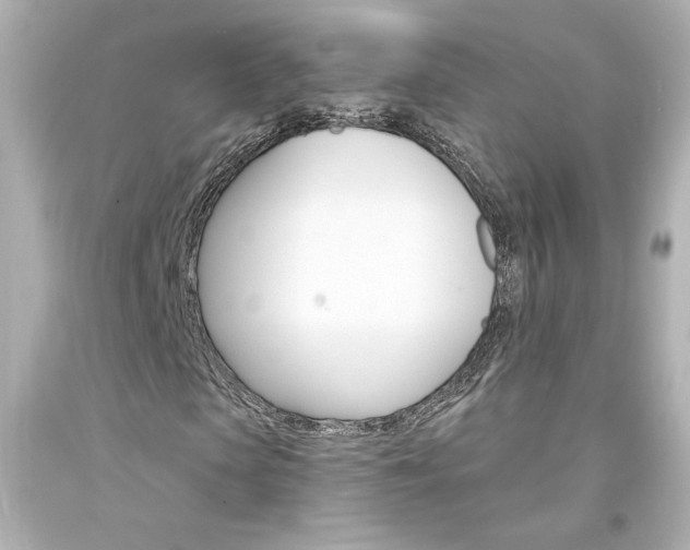 X0000094350913200711021309