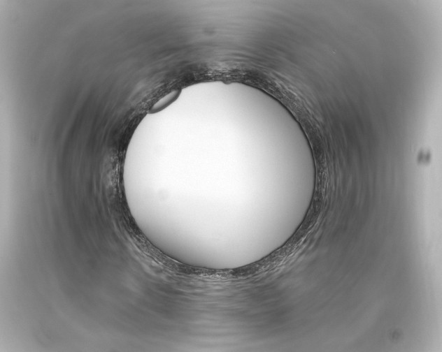 X0000094350914200711021309