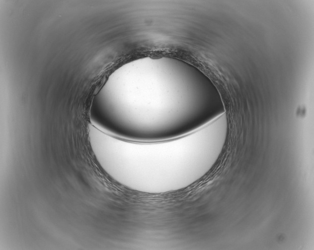 X0000094350916200711021309