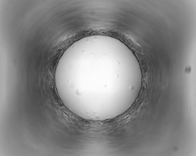 X0000094350917200711021309