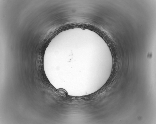 X0000094350918200711021309