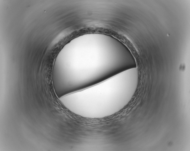X0000094350919200711021309