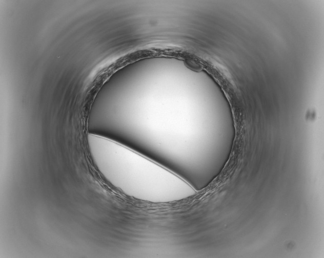 X0000094350920200711021309