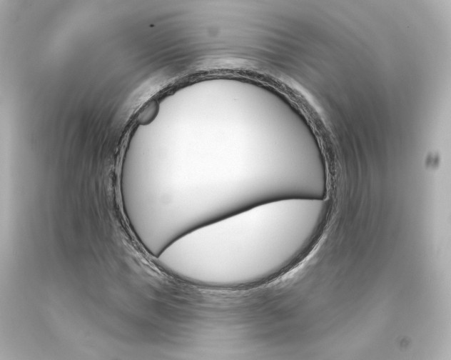 X0000094350921200711021309