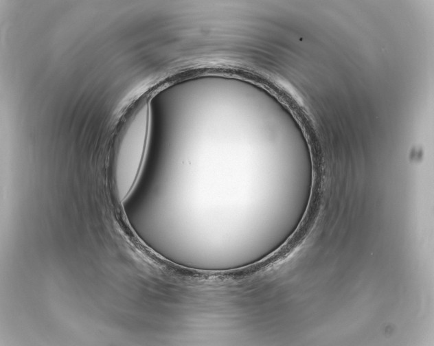 X0000094350922200711021309