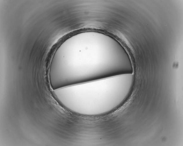 X0000094350923200711021309