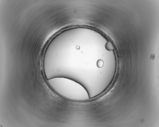 X0000094350925200711021309
