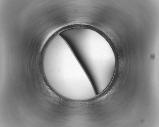X0000094350926200711021310