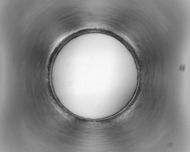 X0000094350927200711021310