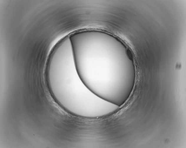 X0000094350928200711021310