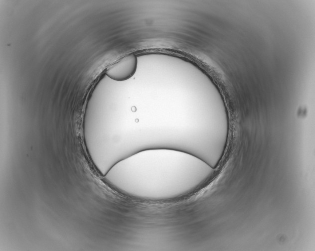 X0000094350929200711021310