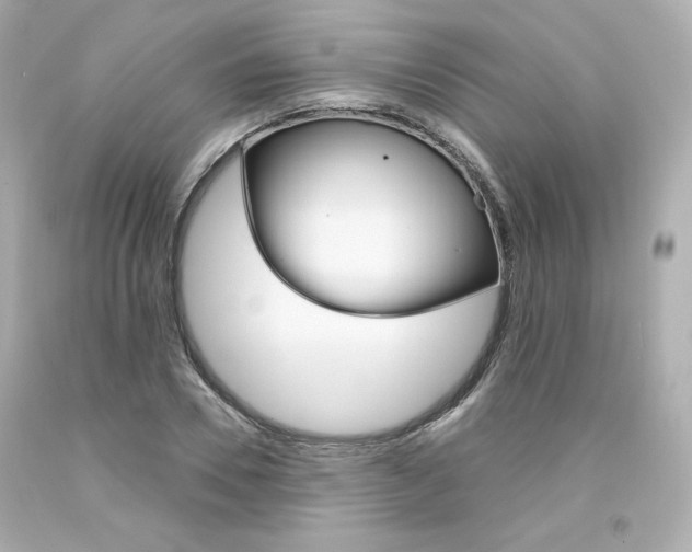X0000094350930200711021310