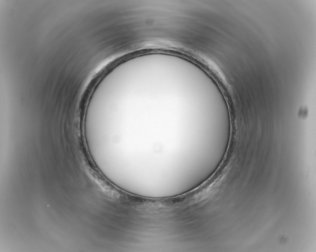 X0000094350931200711021310