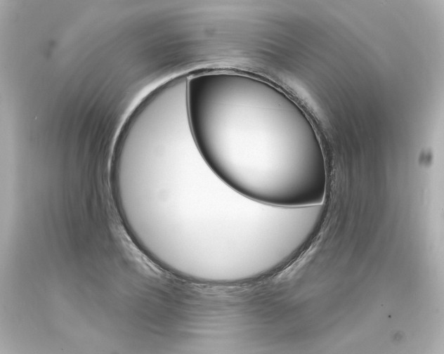 X0000094350932200711021310