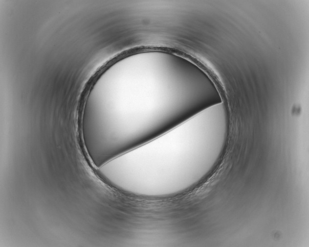 X0000094350935200711021310