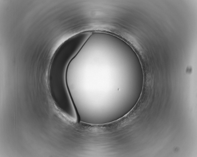X0000094350936200711021310