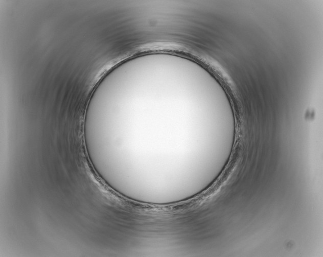 X0000094350937200711021310