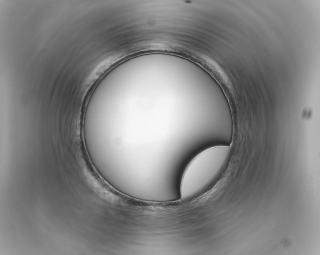 X0000094350938200711021310
