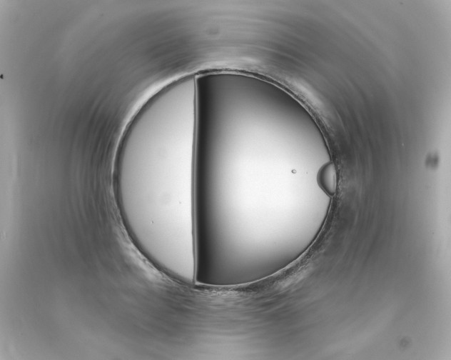 X0000094350940200711021310