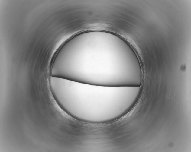 X0000094350941200711021310