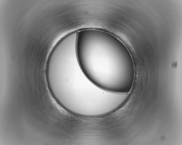 X0000094350942200711021310