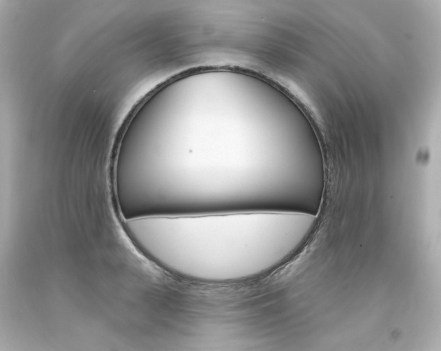 X0000094350943200711021310