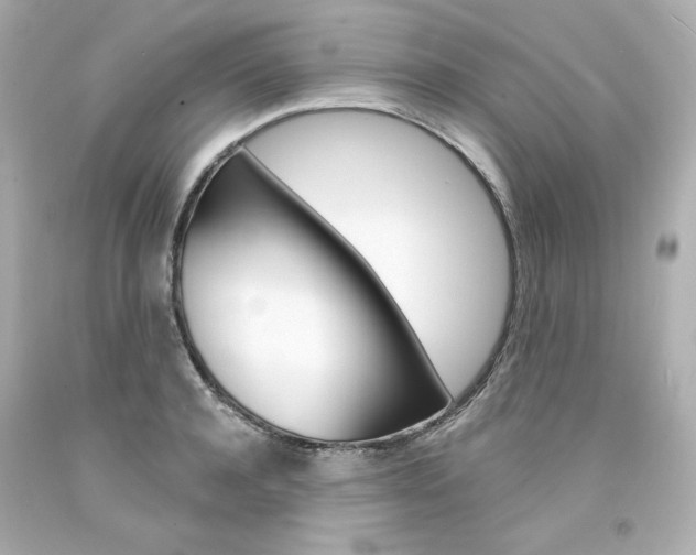 X0000094350944200711021310