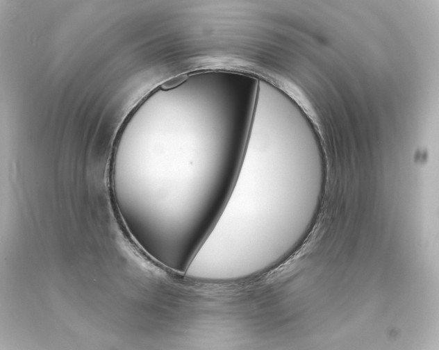 X0000094350946200711021310