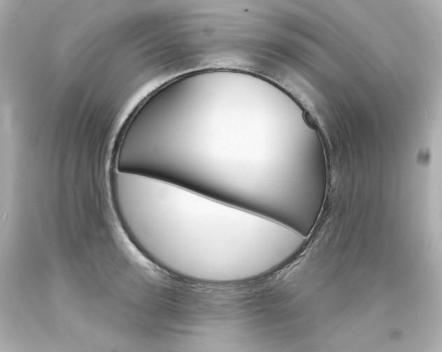 X0000094350947200711021310