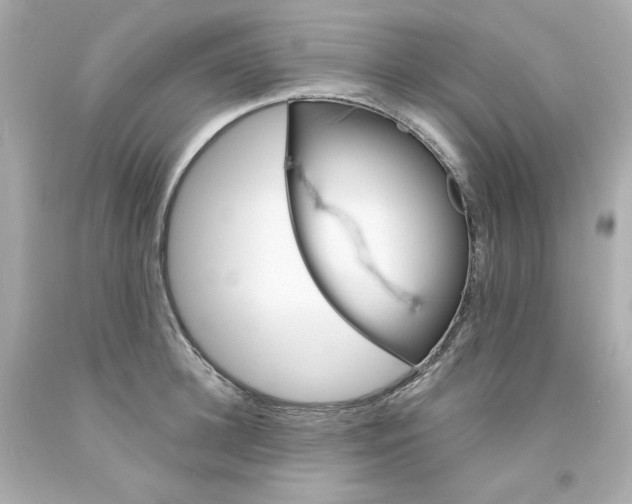 X0000094350948200711021310