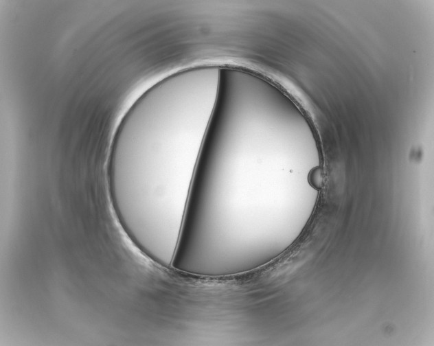 X0000094350951200711021310