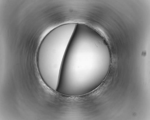 X0000094350952200711021310