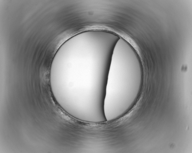 X0000094350953200711021310