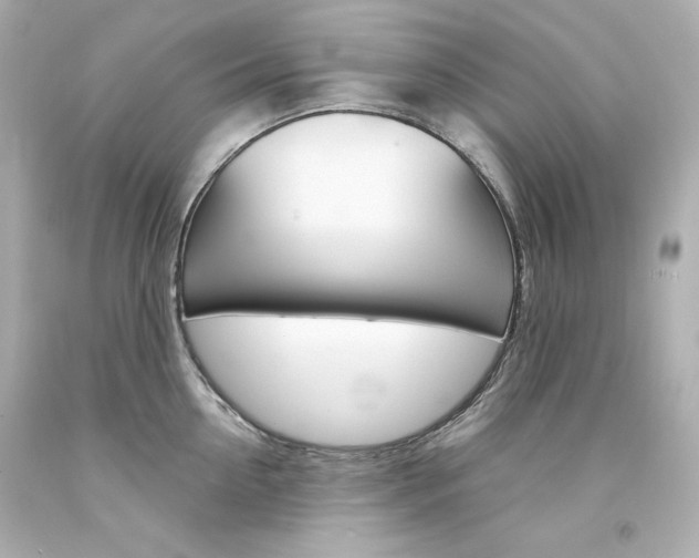 X0000094350954200711021310