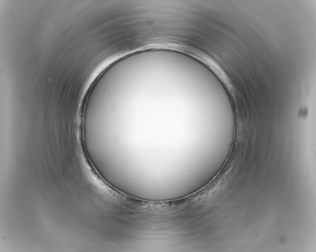 X0000094350955200711021310