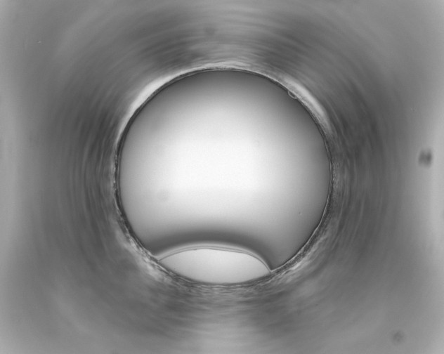 X0000094350956200711021310
