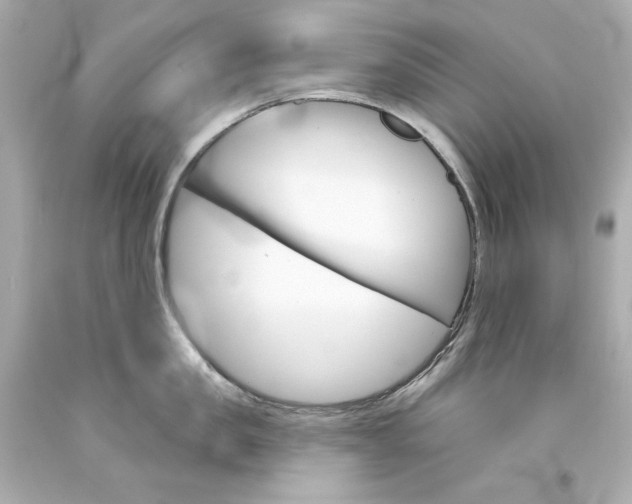 X0000094350957200711021310