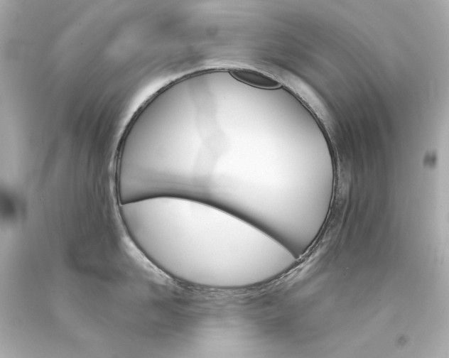 X0000094350958200711021310