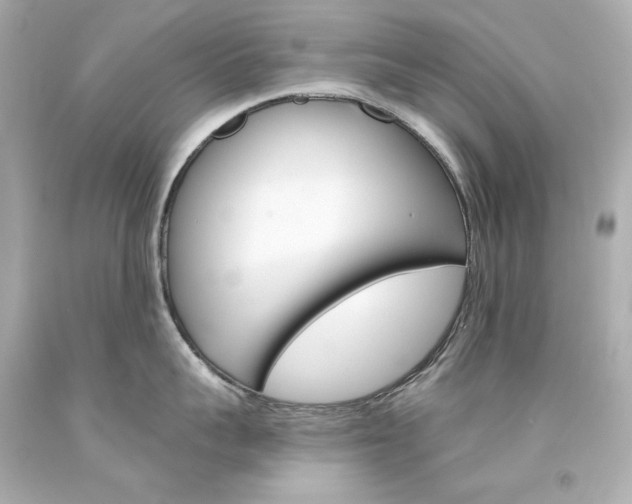 X0000094350959200711021310