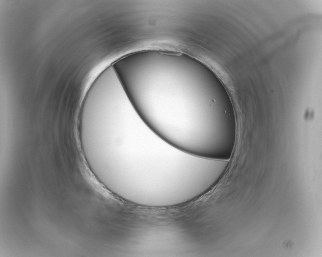 X0000094350960200711021310