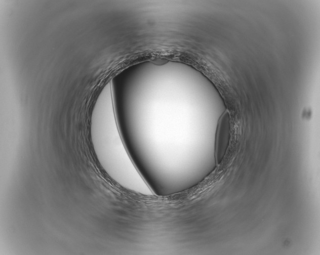 X0000094350961200711021309