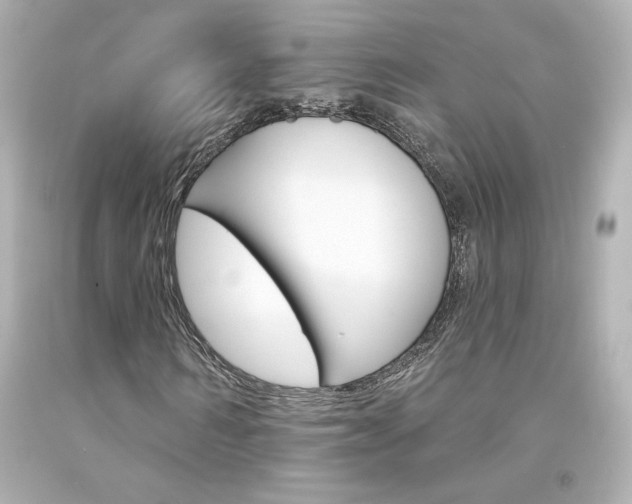 X0000094350962200711021309