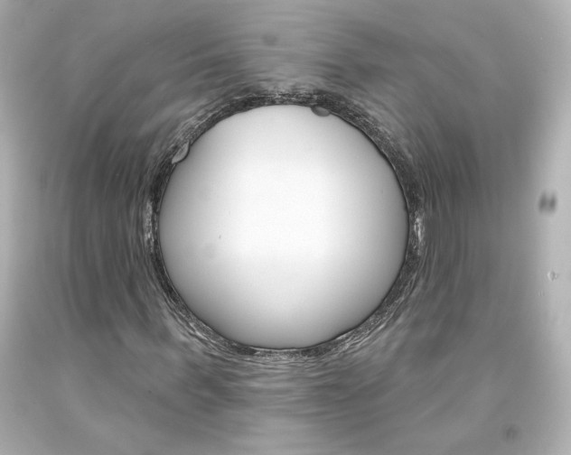 X0000094350963200711021309